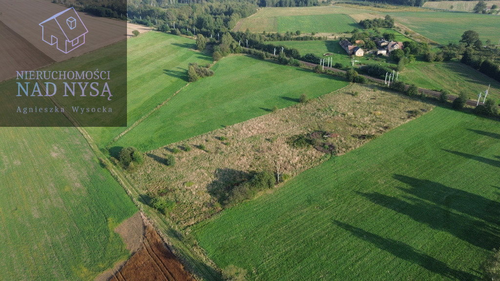 Działka Sprzedaż Pieńsk 4