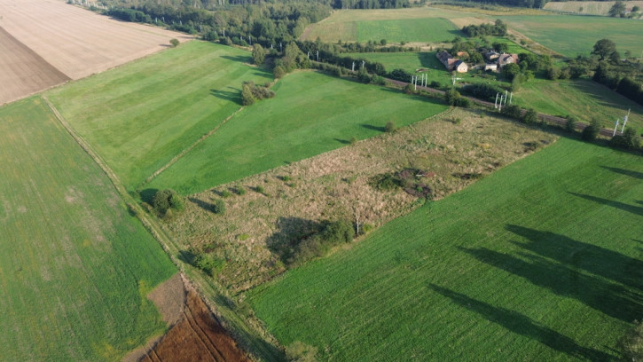 Działka Sprzedaż Pieńsk 4