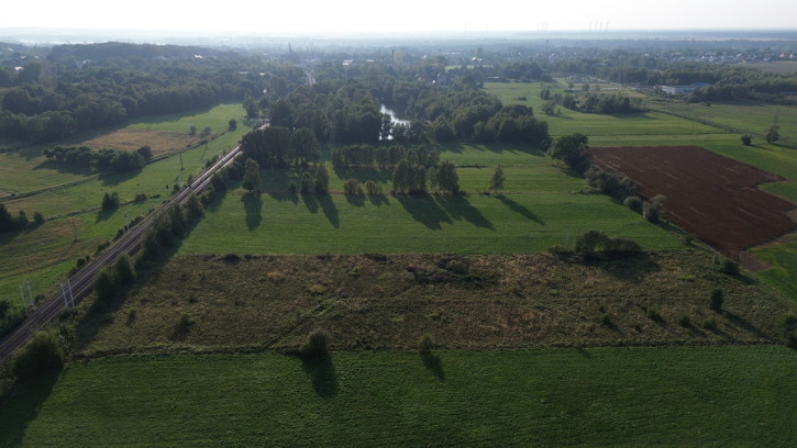 Działka Sprzedaż Pieńsk 6