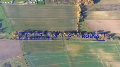 Działka Sprzedaż Trójca