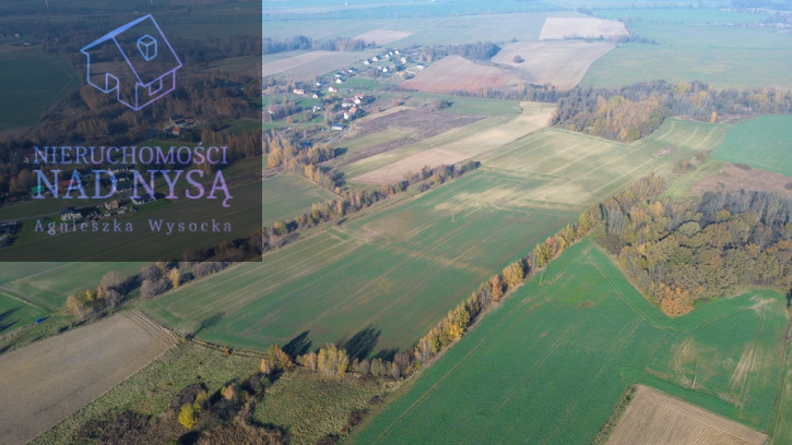 Działka Sprzedaż Trójca 3