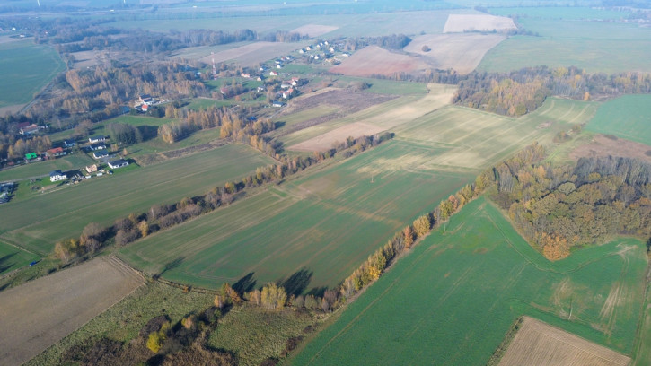 Działka Sprzedaż Trójca 3