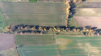 Działka Sprzedaż Trójca