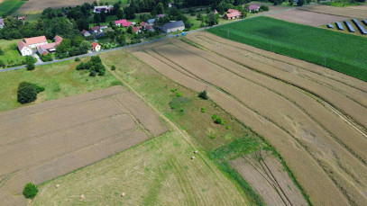 Działka Sprzedaż Sławnikowice