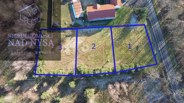 Działka Sprzedaż Strzelno 1