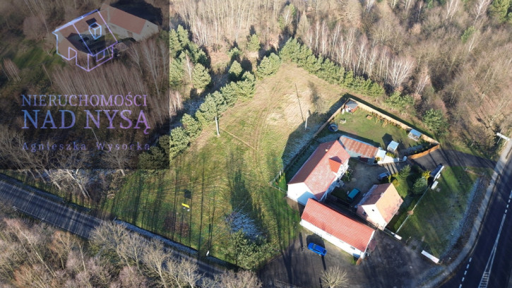 Działka Sprzedaż Strzelno 5