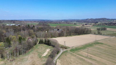 Działka Sprzedaż Zacisze