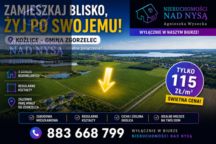 Działka Sprzedaż Koźlice Drzewna 2