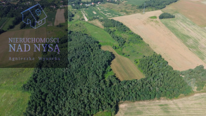Działka Sprzedaż Dłużyna Górna
