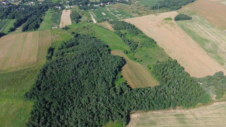 Działka Sprzedaż Dłużyna Górna 2