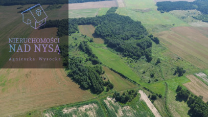 Działka Sprzedaż Dłużyna Górna